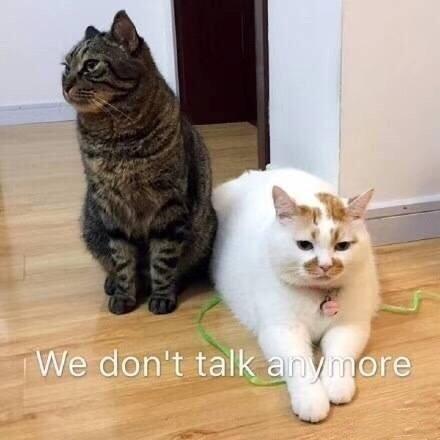 talk的表情包,揭秘talk表情包的魅力所在