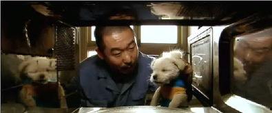 疯狂的石头搞笑,笑料百出，欢乐无限