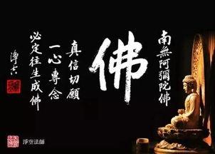 学佛不能娱乐,精进修行之路