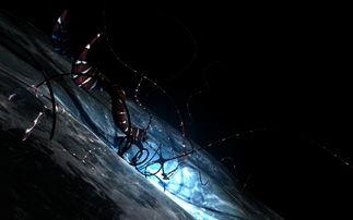 黑背景扣热气,揭秘神秘现象背后的科学奥秘