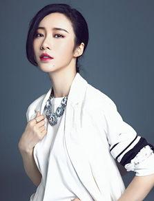 中国明星资料大全,璀璨星河中的闪耀身影